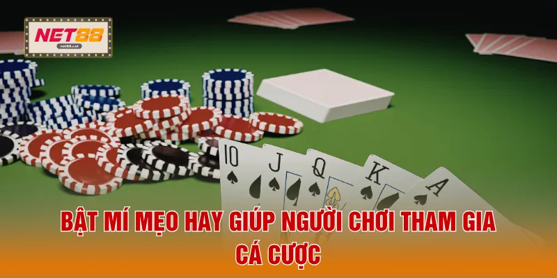 Bật mí mẹo hay giúp người chơi tham gia cá cược