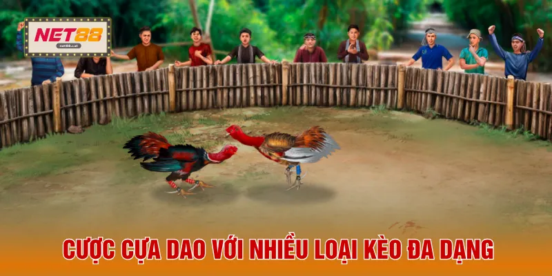 Cược cựa dao với nhiều loại kèo đa dạng