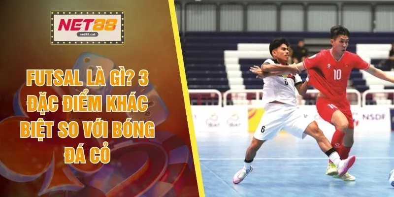 Futsal Là Gì? 3 Đặc Điểm Khác Biệt So Với Bóng Đá Cỏ