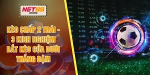 Kèo Chấp 2 Trái - 3 Kinh Nghiệm Bắt Kèo Cửa Dưới Thắng Đậm
