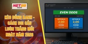 Kèo Đồng Banh - Cách Soi Cầu Luôn Thắng Mỗi Ngày Năm 2026