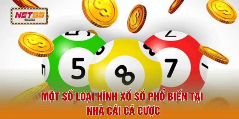 Một số loại hình xổ số phổ biến tại nhà cái cá cược